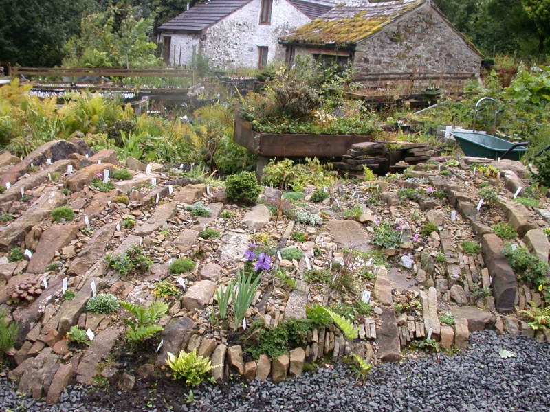 Hartside Nursery Garden
